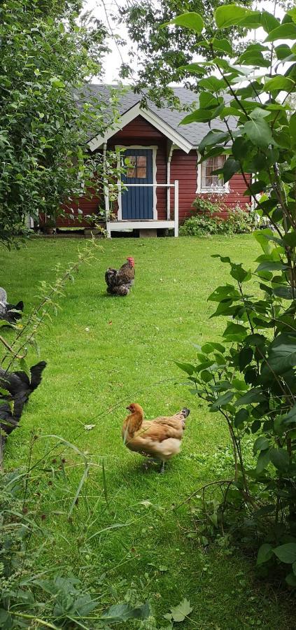 Villa Lill Hagahus, Soederasens Nationalpark à Kågeröd Extérieur photo